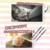 【アウトレット｜50%OFF】Petique Kitty Corner（キティコーナー）猫用爪とぎ
