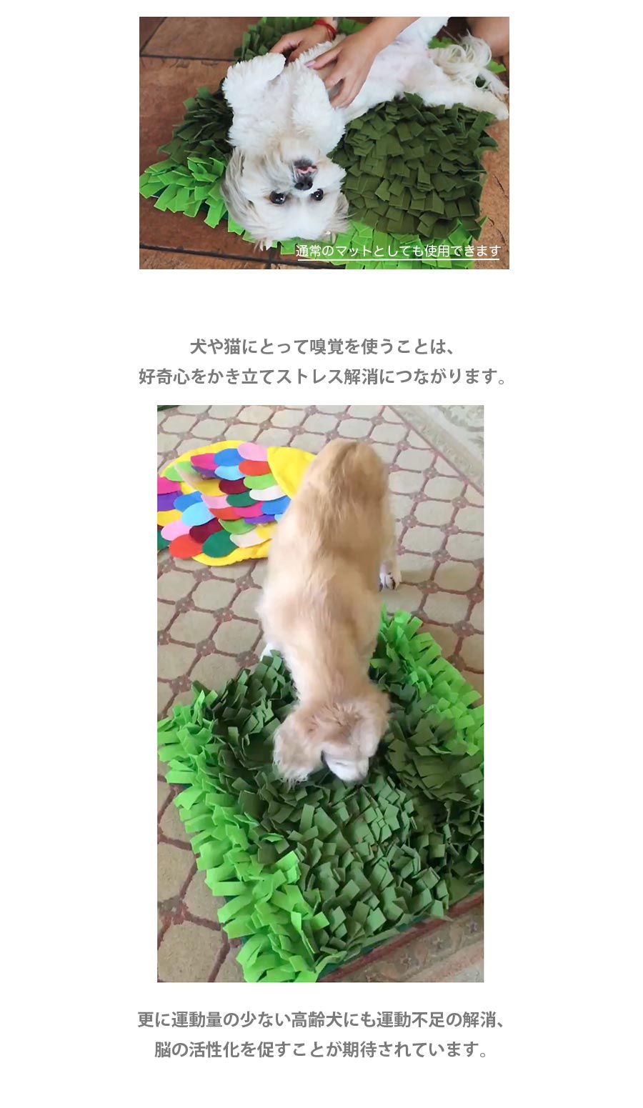 Petique ノーズワークマット スナッフルマット パズルパッド 知育玩具 知育トイ おもちゃ ゲーム 訓練 運動 ストレス解消 子犬 成犬 老犬 小型犬 中型犬 大型犬 犬 猫 Snuffle Mat