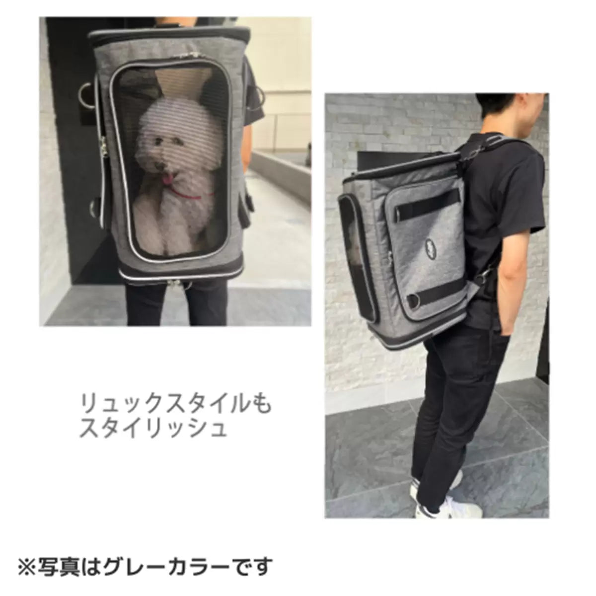 ペティーク ペットキャリー 2LDK 2wayリュック