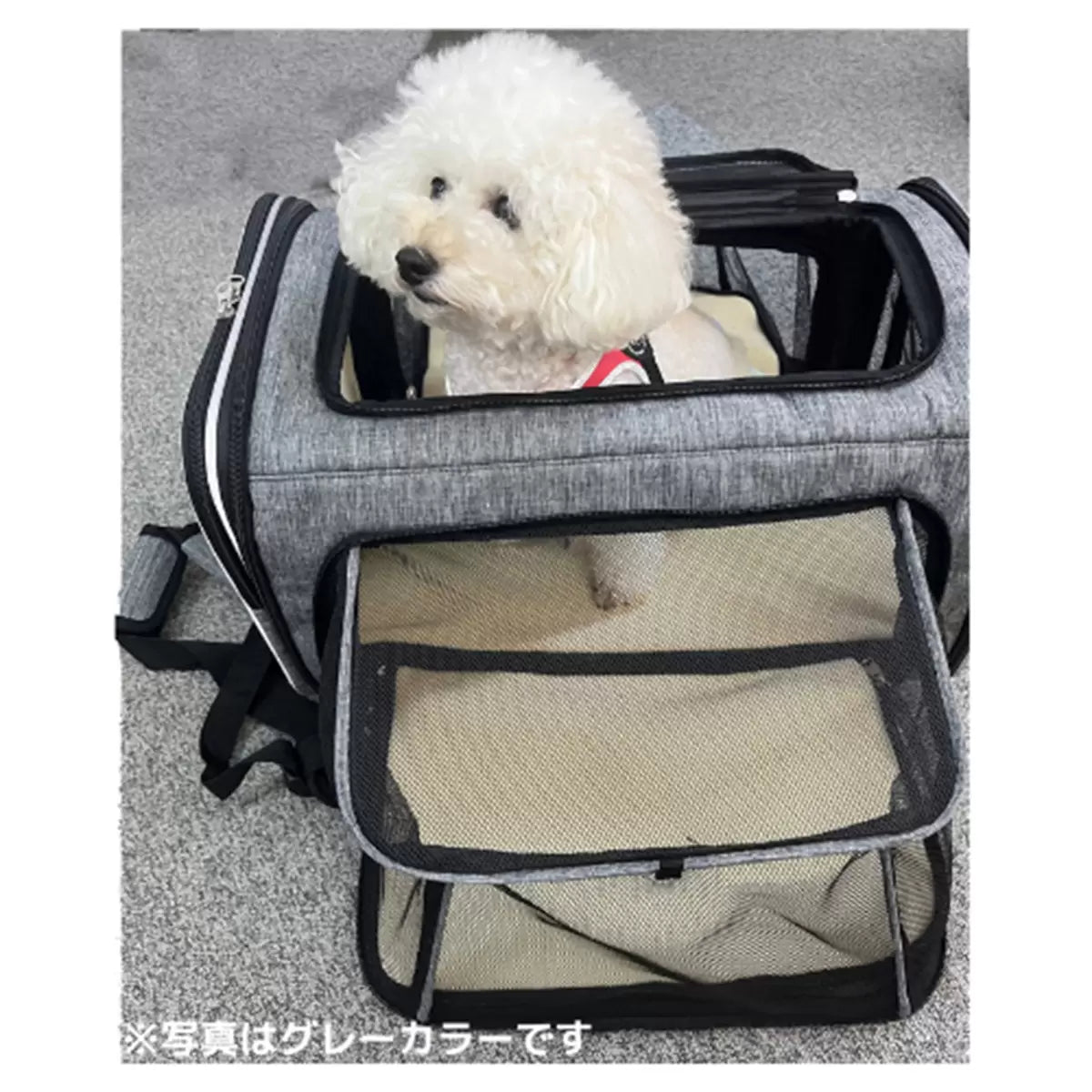 ペティーク ペットキャリー 2LDK 2wayリュック