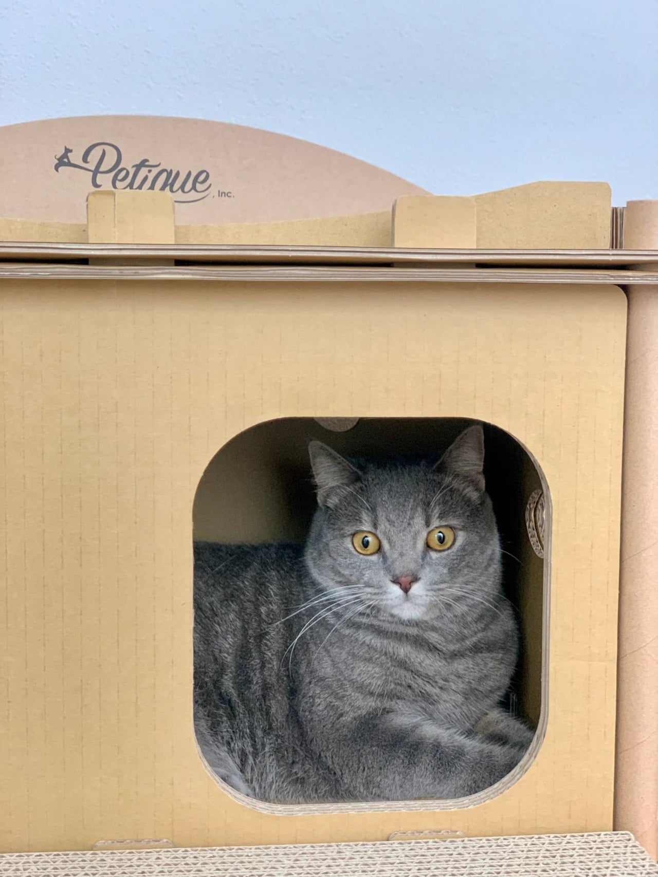 Petique ペティーク ヴィラ キャットハウス