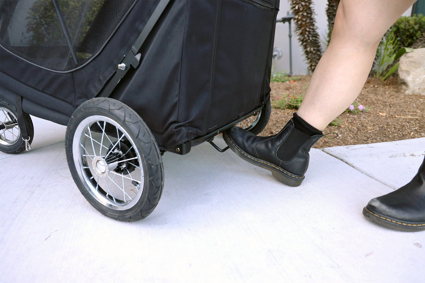 アポロ | Petique（ペティーク）