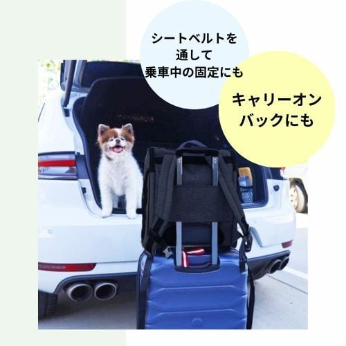 バックパッカー ブラックシャドー | Petique（ペティーク）
