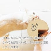 【アウトレット｜50%OFF】Petique Kitty Corner（キティコーナー）猫用爪とぎ