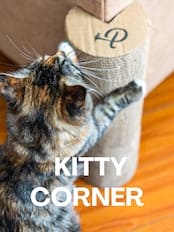 【アウトレット｜50%OFF】Petique Kitty Corner（キティコーナー）猫用爪とぎ