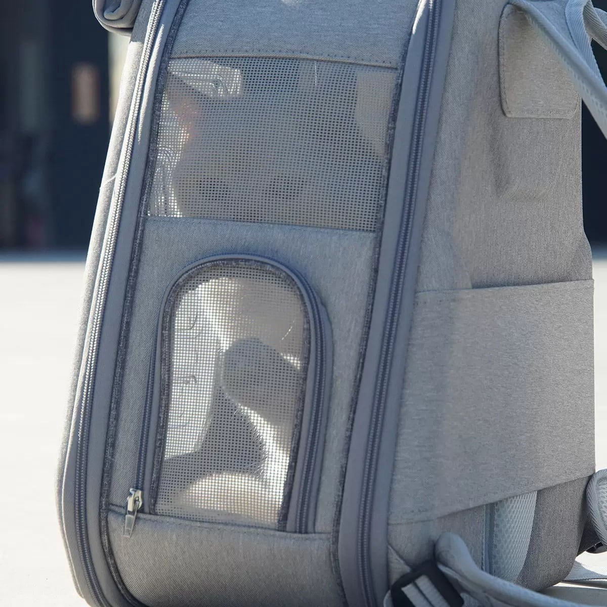 Petique ペティーク Skylight スカイライト キャリーバッグ ペットバッグ ペットキャリー ペットリュック