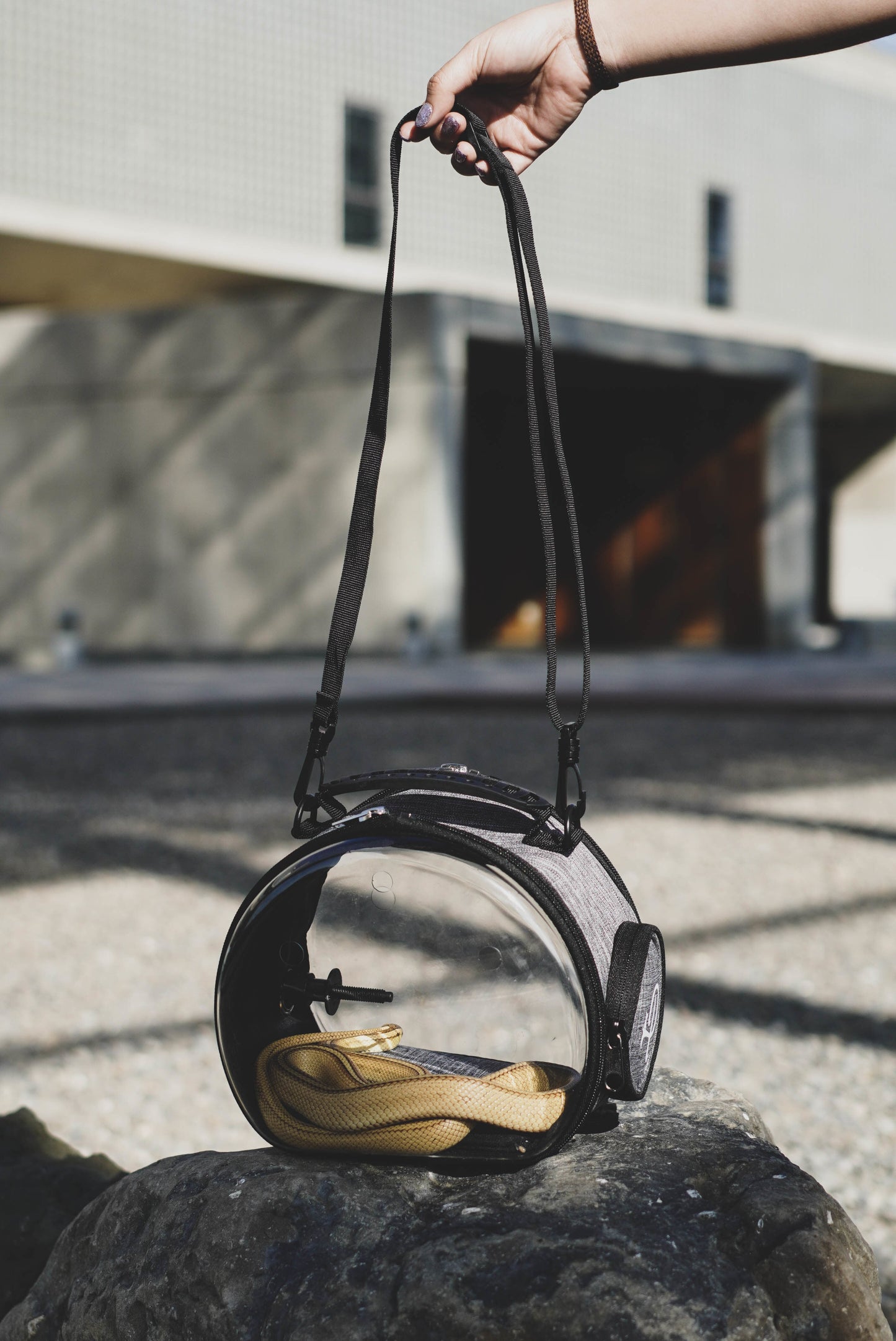 Petique ペティーク Sierraシエラ 小動物 お出かけバッグ ショルダーバッグ キャリーバッグ 2WAY