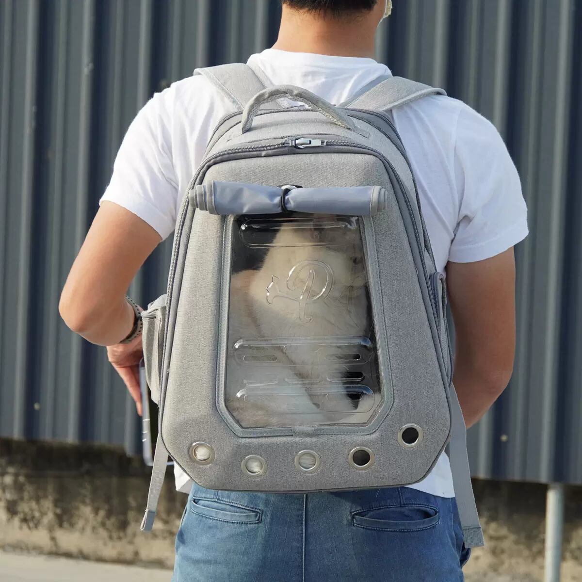 Petique ペティーク Skylight スカイライト キャリーバッグ ペットバッグ ペットキャリー ペットリュック