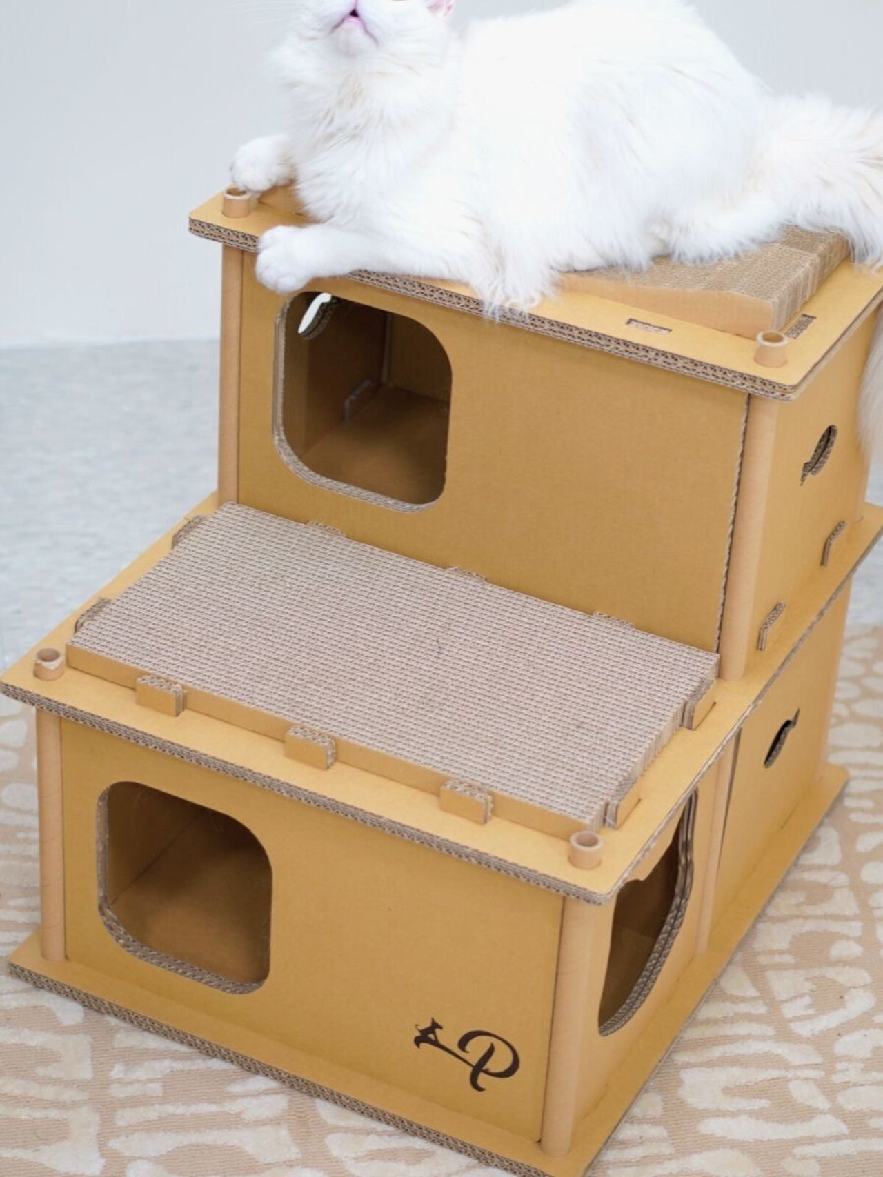 Petique ペティーク ヴィラ キャットハウス