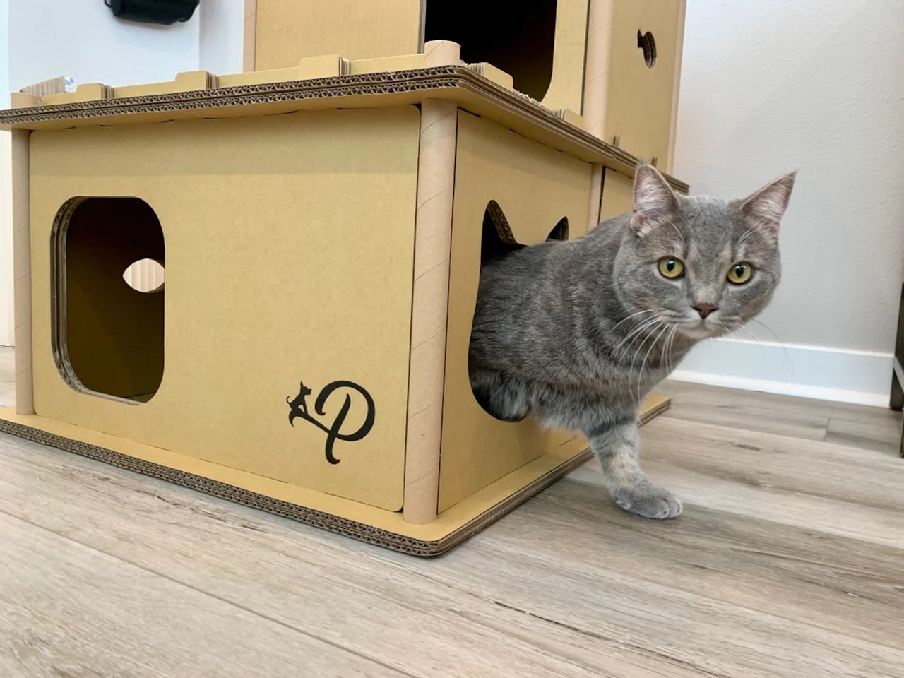 Petique ペティーク ヴィラ キャットハウス