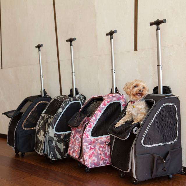 5-in-1 ペットキャリー ドッグ キャリーバッグ