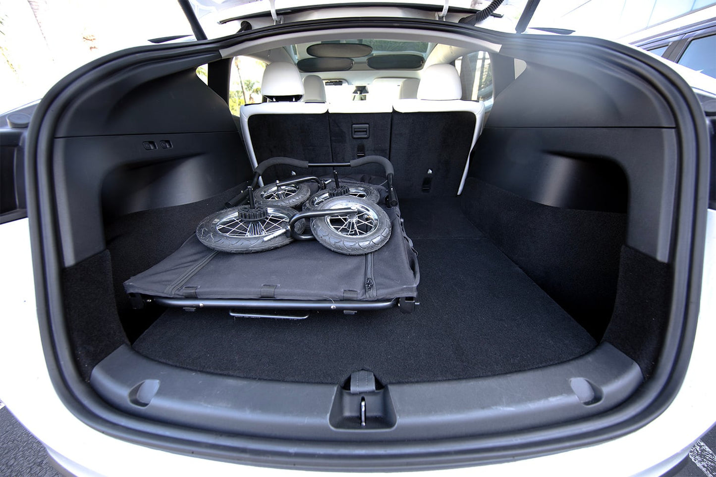 アポロ | Petique（ペティーク）