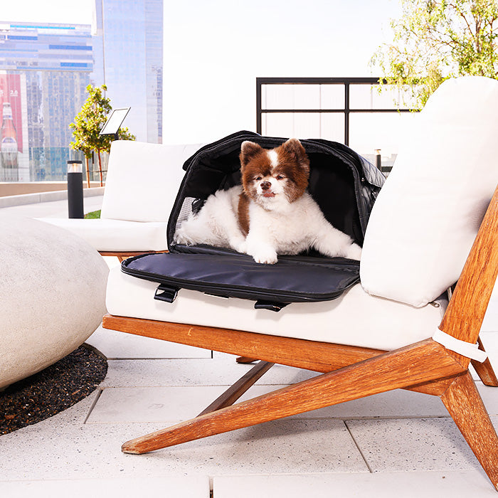 Petique ペティーク The Lux ラックス ペットキャリーバッグ ボストンバッグ ショルダーバッグ 2WAY