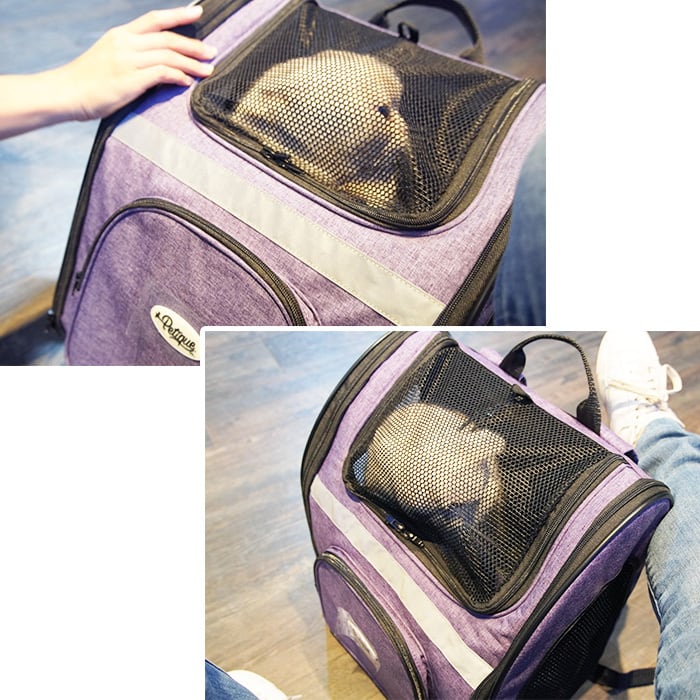 バックパッカー | Petique（ペティーク）