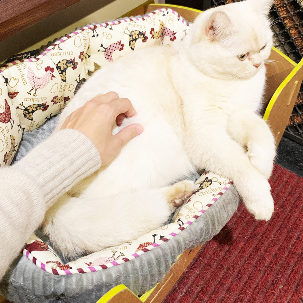 Petique ペティーク リバーシブルラウンドペットベッド 猫 小型犬 ふかふか ふわふわ あたたかい ペット用 ベッド リバーシブル ふわふわ Reversible Round Pet Bed