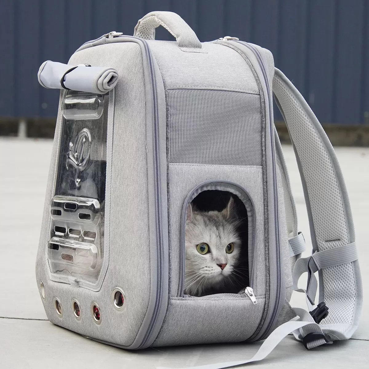 Petique ペティーク Skylight スカイライト キャリーバッグ ペットバッグ ペットキャリー ペットリュック