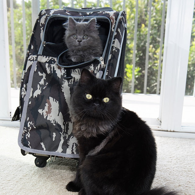 5-in-1 ペットキャリー ドッグ キャリーバッグ