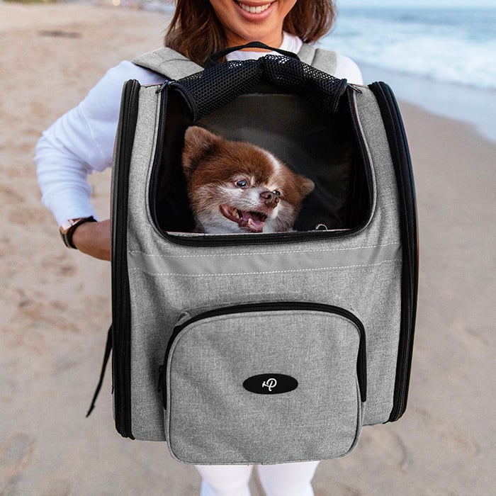 バックパッカー | Petique（ペティーク）