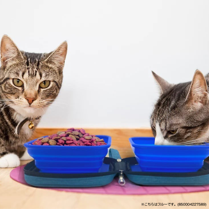 Petique ペティーク ポルタボウル 携帯用 フードボウル 餌入れ 水入れ 折りたたみ 持ち運び コンパクト 700ml 大容量 水分補給 水 食器 水飲み 給水器 シリコンボウル 旅行 お出かけ 散歩 犬 猫 小動物 Portabowl