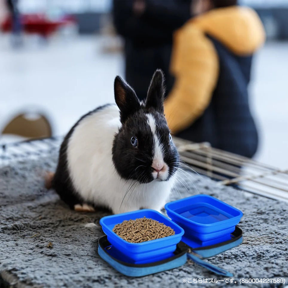 Petique ペティーク ポルタボウル 携帯用 フードボウル 餌入れ 水入れ 折りたたみ 持ち運び コンパクト 700ml 大容量 水分補給 水 食器 水飲み 給水器 シリコンボウル 旅行 お出かけ 散歩 犬 猫 小動物 Portabowl