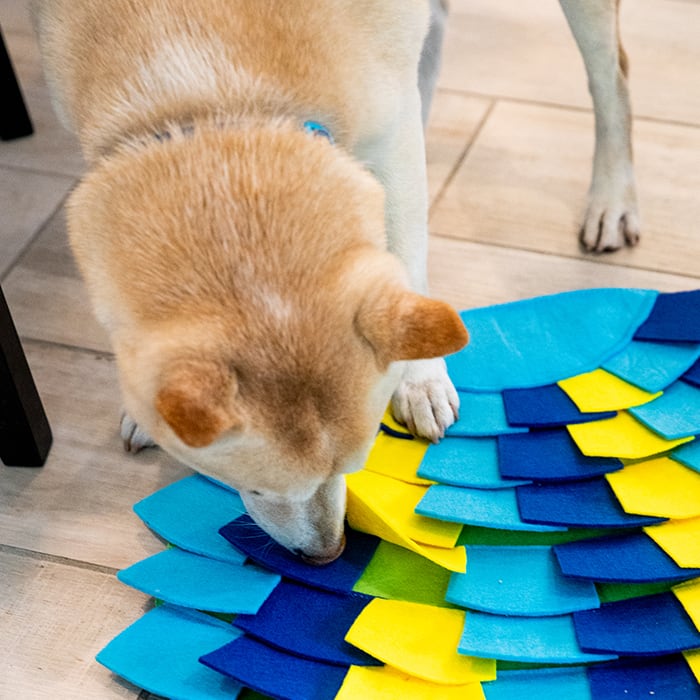 Petique ノーズワークマット スナッフルマット パズルパッド 知育玩具 知育トイ おもちゃ ゲーム 訓練 運動 ストレス解消 子犬 成犬 老犬 小型犬 中型犬 大型犬 犬 猫 Snuffle Mat