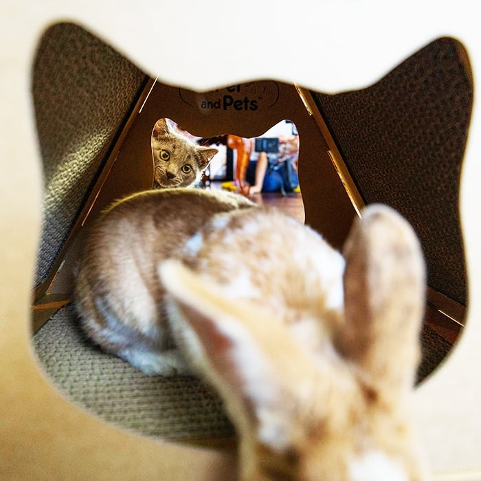 ティッピーピーク キャットハウス ペットハウス 爪とぎハウス ベッドハウス 段ボールハウス キャットタワー つめとぎ 猫の爪とぎ ダンボール 高圧縮紙 おもちゃ ストレス解消 ベッド ねこ ネコ 猫 小動物 Tippy Peak