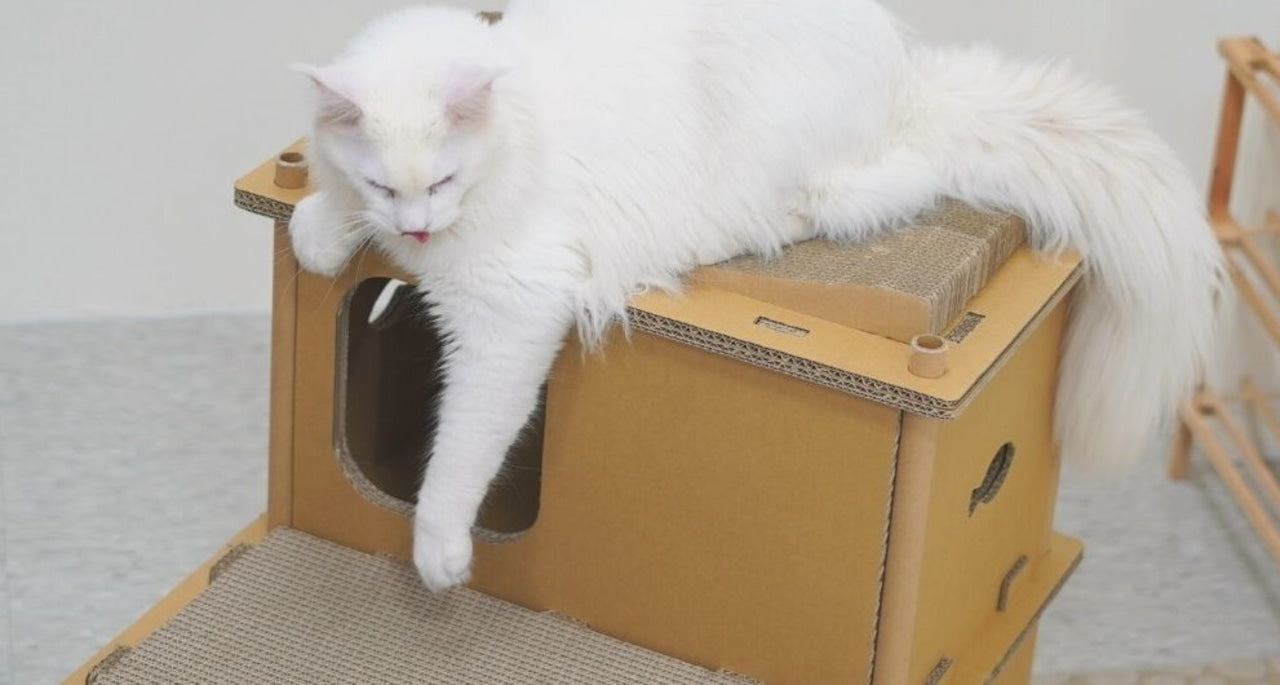 Petique ペティーク ヴィラ キャットハウス