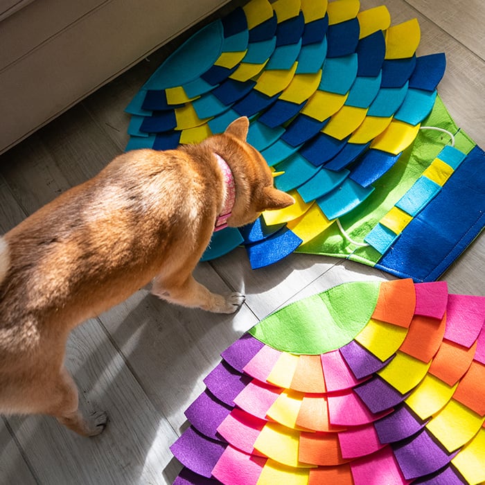 Petique ノーズワークマット スナッフルマット パズルパッド 知育玩具 知育トイ おもちゃ ゲーム 訓練 運動 ストレス解消 子犬 成犬 老犬 小型犬 中型犬 大型犬 犬 猫 Snuffle Mat