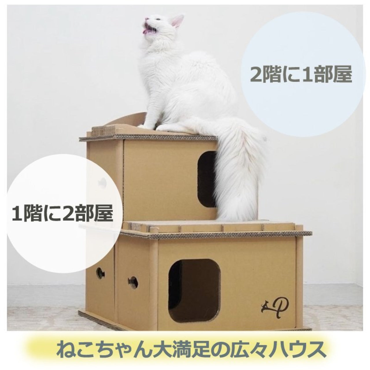Petique ペティーク ヴィラ キャットハウス