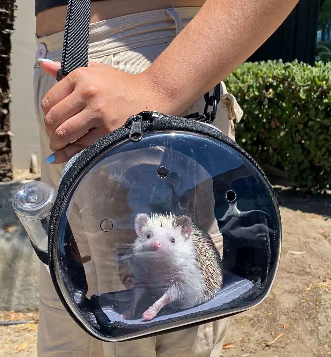 Petique ペティーク Sierraシエラ 小動物 お出かけバッグ ショルダーバッグ キャリーバッグ 2WAY