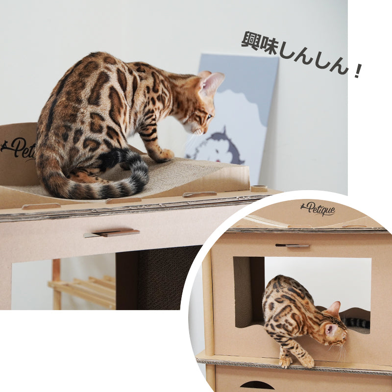 Petique ペティーク コンドミニアム キャットハウス キャットタワー 爪とぎハウス ベッドハウス 段ボールハウス
