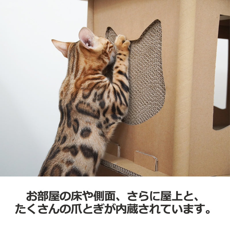 Petique ペティーク コンドミニアム キャットハウス キャットタワー 爪とぎハウス ベッドハウス 段ボールハウス