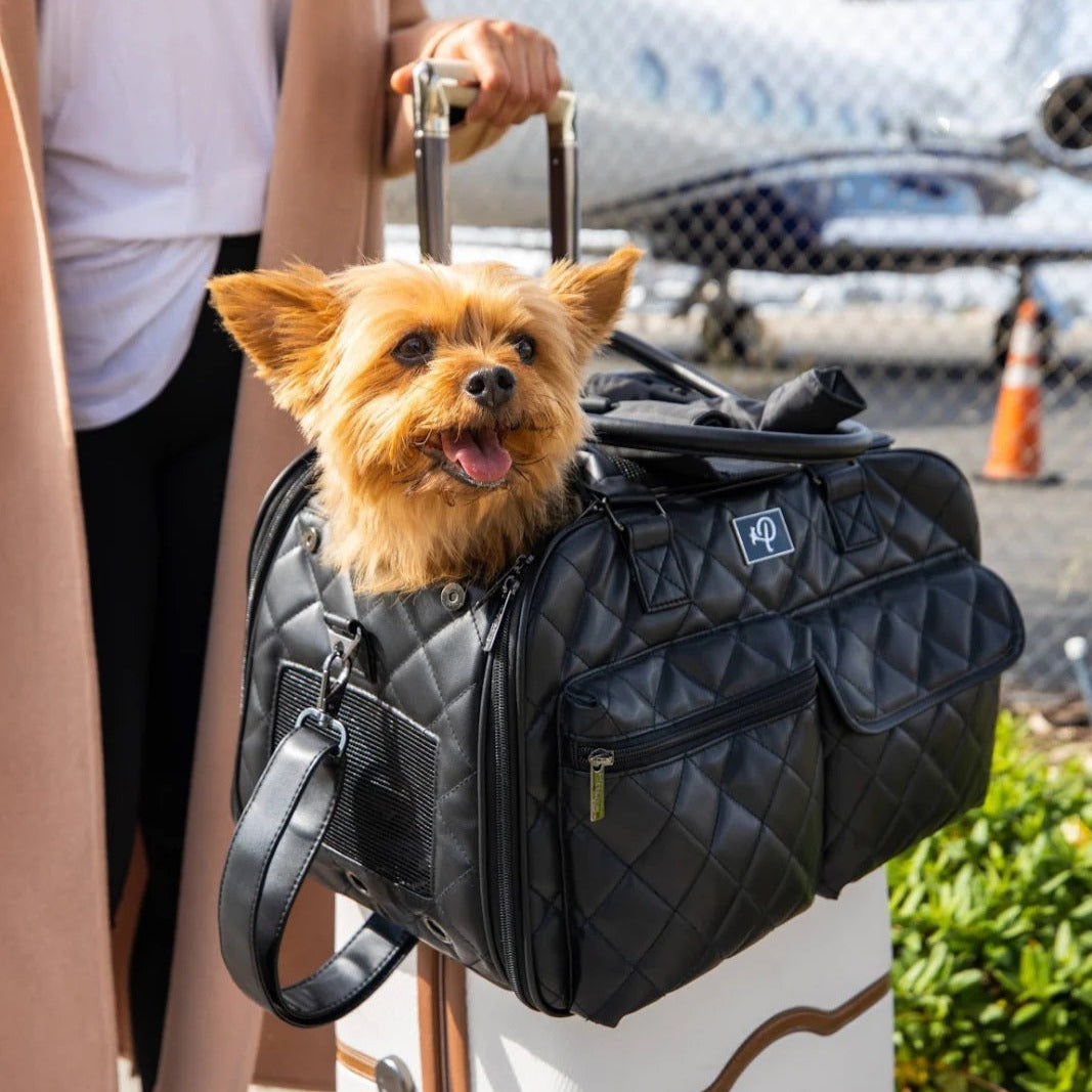 Petique ペティーク The Lux ラックス ペットキャリーバッグ ボストンバッグ ショルダーバッグ 2WAY