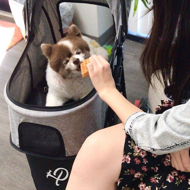 グラシア | Petique（ペティーク）