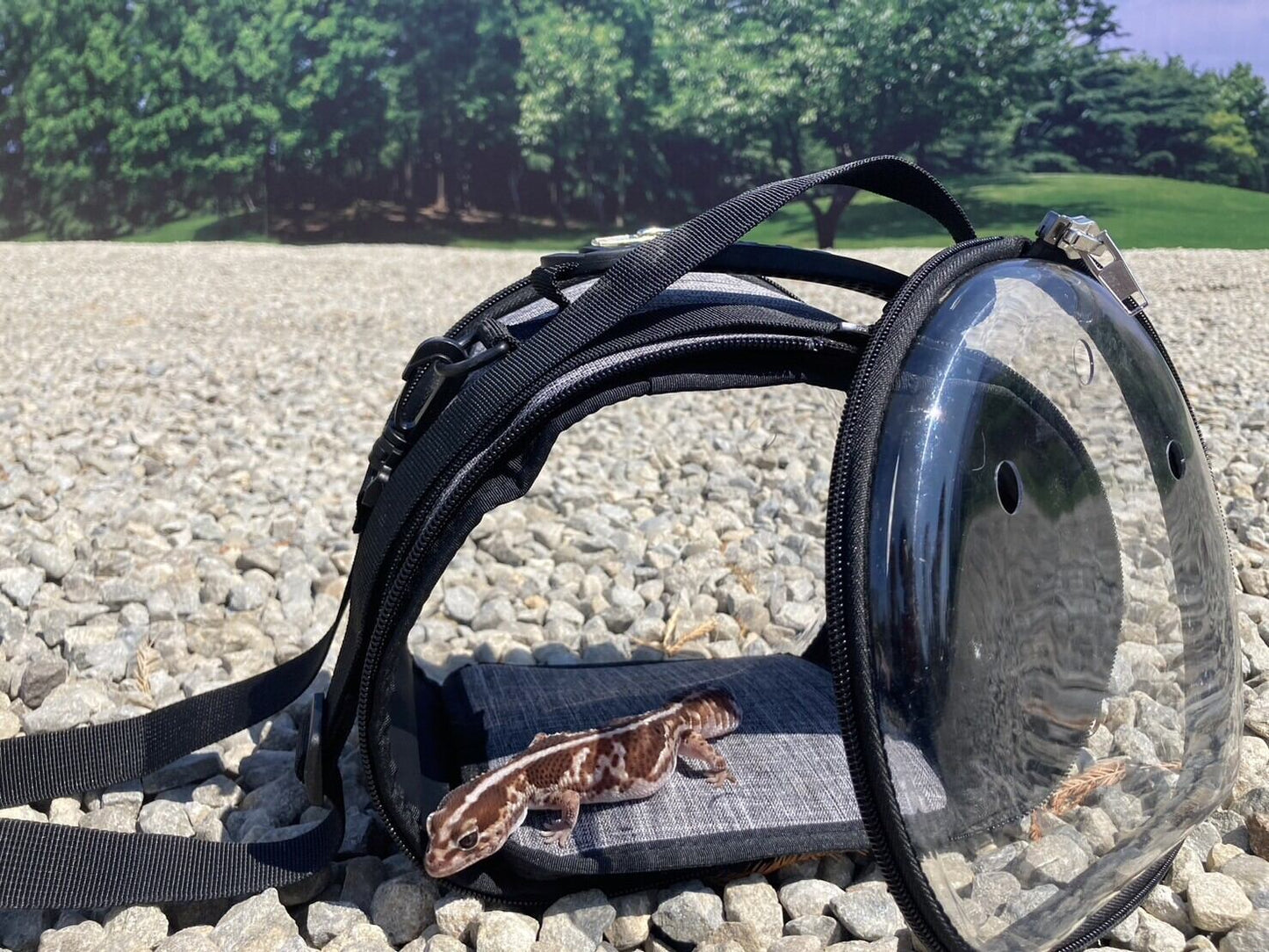 Petique ペティーク Sierraシエラ 小動物 お出かけバッグ ショルダーバッグ キャリーバッグ 2WAY