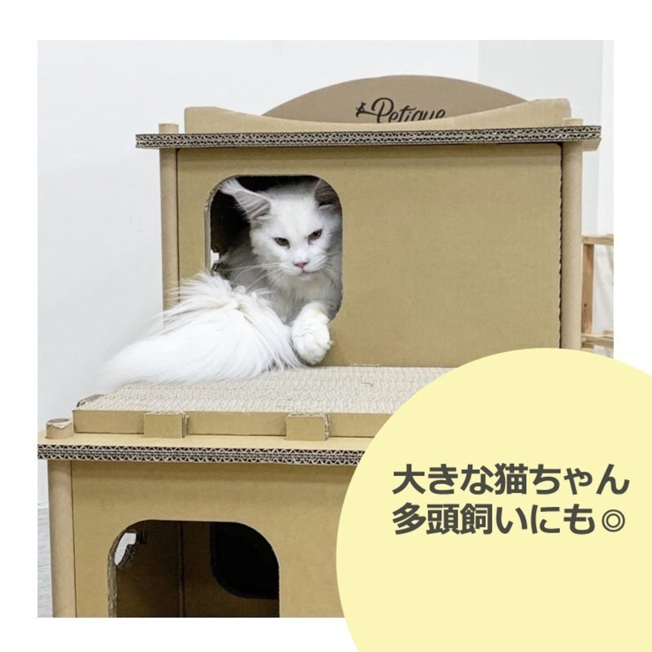 Petique ペティーク ヴィラ キャットハウス