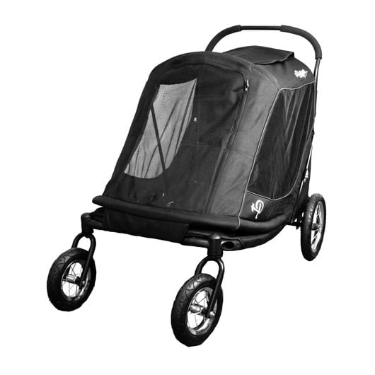 アポロ | Petique（ペティーク）