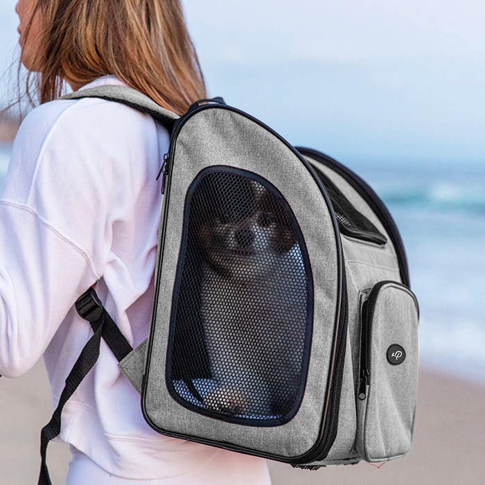 バックパッカー | Petique（ペティーク）