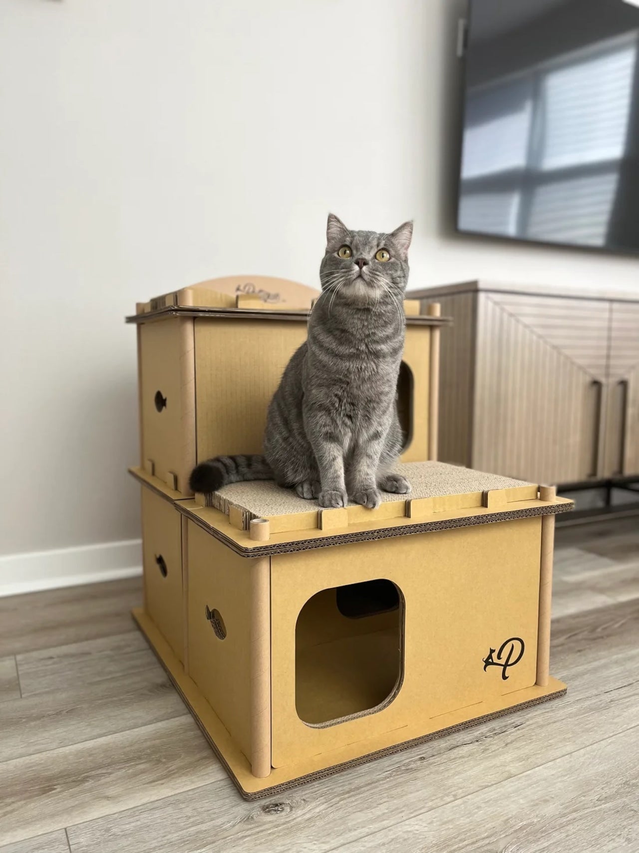 Petique ペティーク ヴィラ キャットハウス