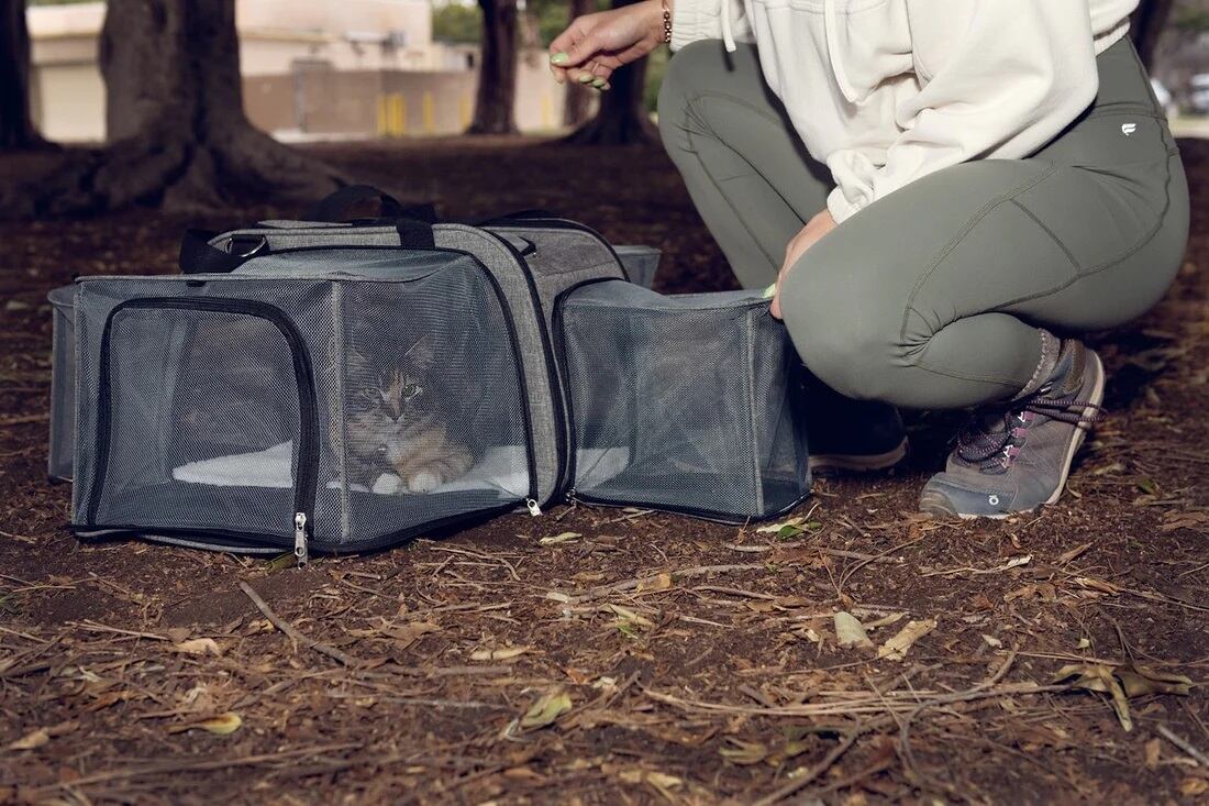 Petique ペティーク ハッピー Happy Camper キャンパー ペットキャリー ペットストローラー3WAY 手提げ 肩掛け 折りたたみ