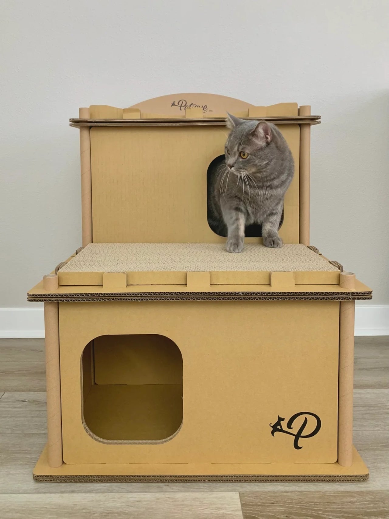 Petique ペティーク ヴィラ キャットハウス