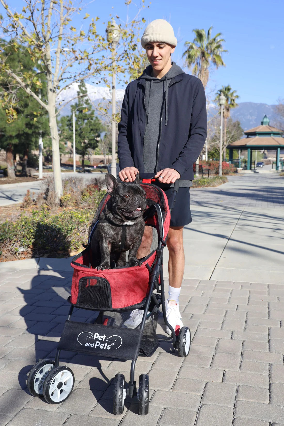 カタリナ ペットストローラー ペットカート ペットキャリー ペットバギー ドッグカート 4輪 折りたたみ 耐荷重20kg 散歩 介護 通院 お散歩 おでかけ 小型犬 中型犬 老犬 小型猫 中型猫 大型猫 老猫 犬 いぬ イヌ 猫 ねこ ネコ 小動物 Catalina