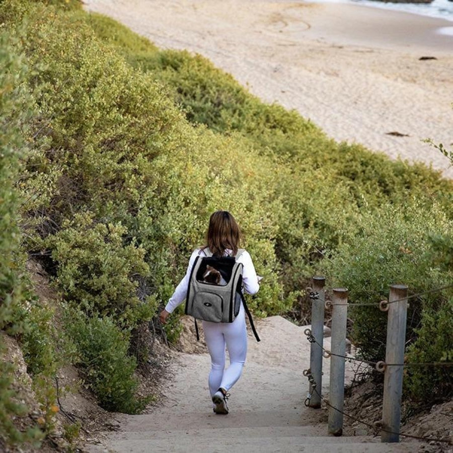 バックパッカー | Petique（ペティーク）