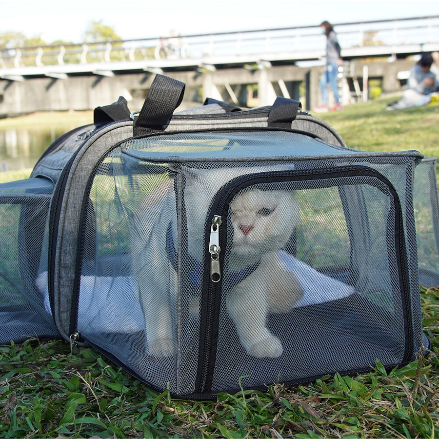 Petique ペティーク ハッピー Happy Camper キャンパー ペットキャリー ペットストローラー3WAY 手提げ 肩掛け 折りたたみ