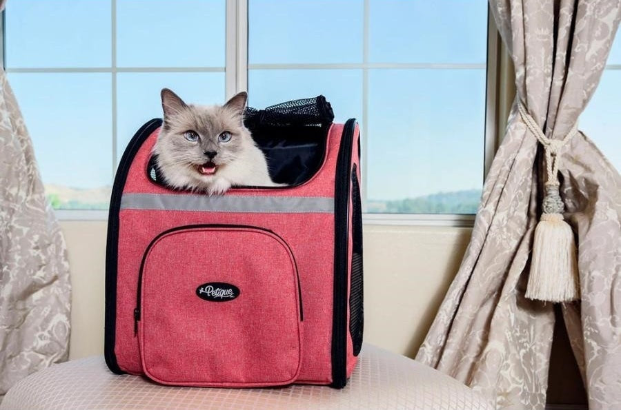 バックパッカー | Petique（ペティーク）