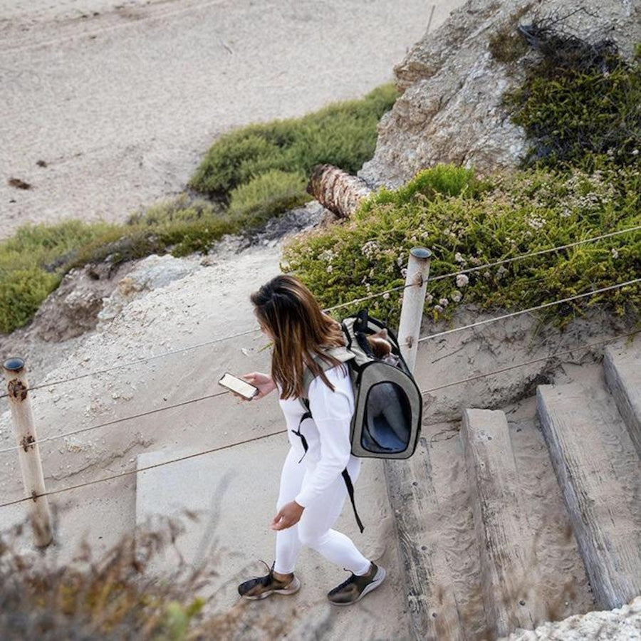 バックパッカー | Petique（ペティーク）