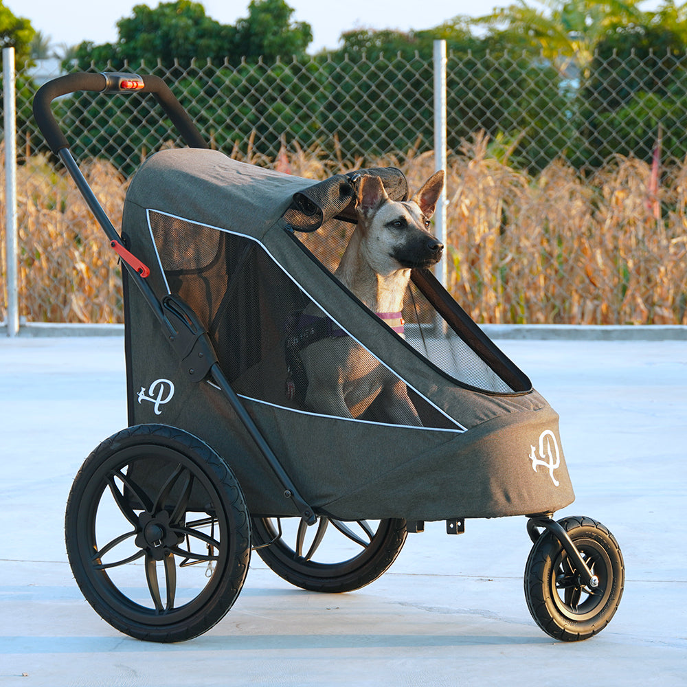 ブリーズ ペットジョガー | Petique（ペティーク）