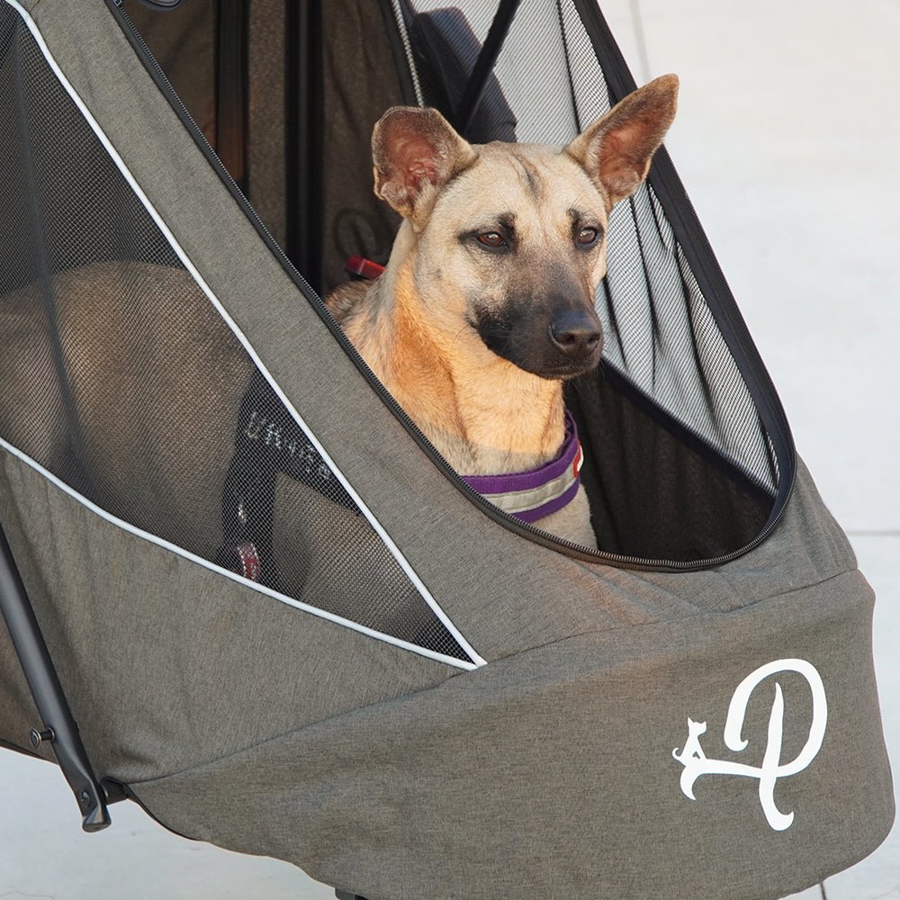 ブリーズ ペットジョガー | Petique（ペティーク）