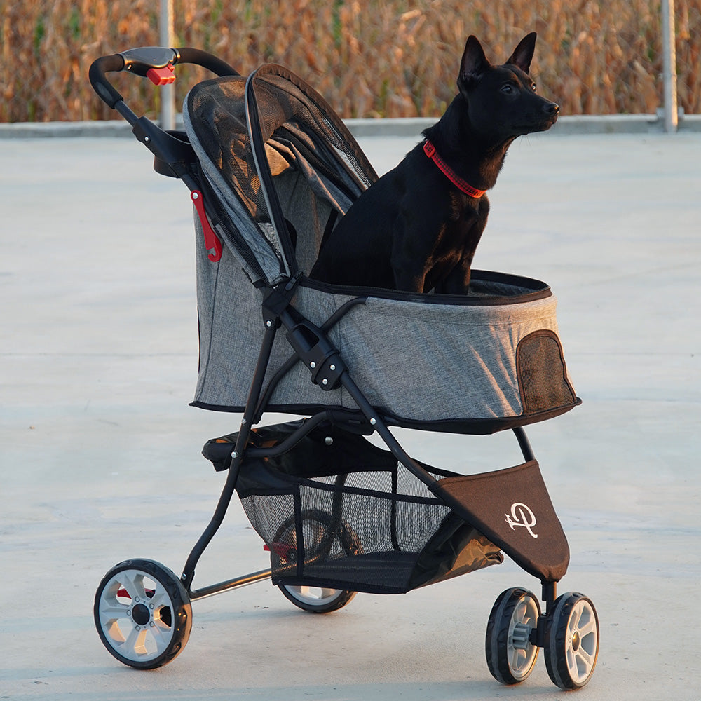 グラシア | Petique（ペティーク）